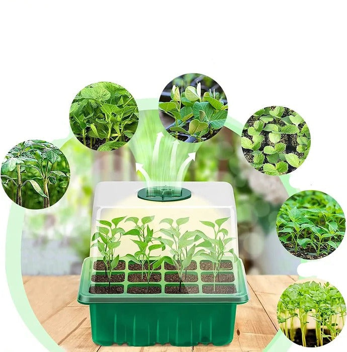 Nursery Pot with Grow Light Seed Starter